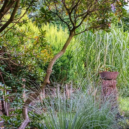 Feriehus Homefy - Schwanennest Am Haddorfer *