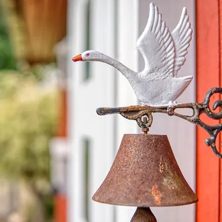 Homefy - Schwanennest Am Haddorfer