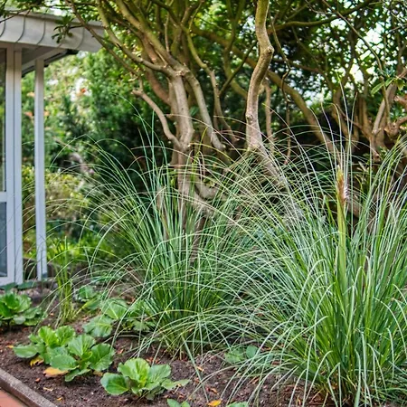 Homefy - Schwanennest Am Haddorfer *