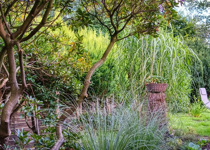 Prázdninový dům Homefy - Schwanennest Am Haddorfer *