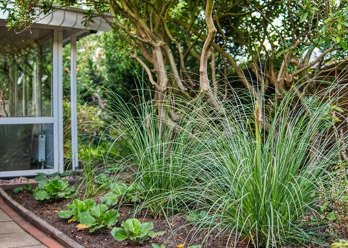 Homefy - Schwanennest Am Haddorfer *